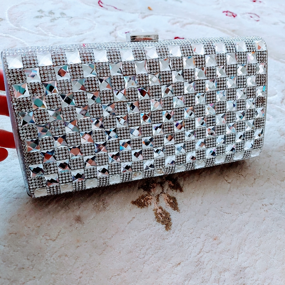 Woman shiny purse